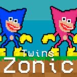 Twins Zonic